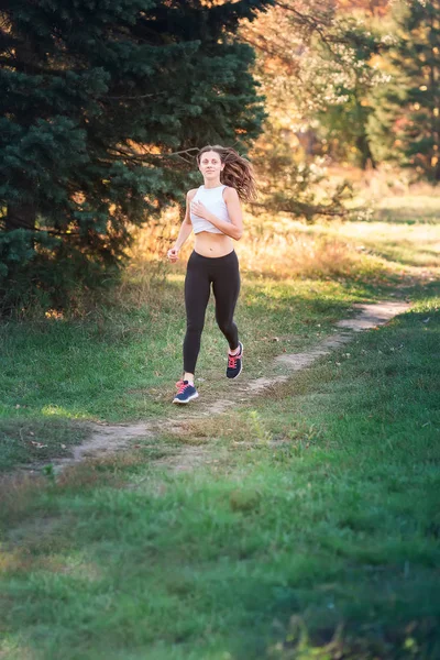 Mooie Jonge Sportieve Vrouw Joggen Het Park Bij Zonsondergang Licht — Stockfoto