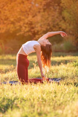 Güzel genç bayan parkta yoga yapıyor.