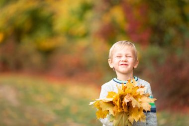 Parkta sonbahar yaprakları ile mutlu küçük çocuk