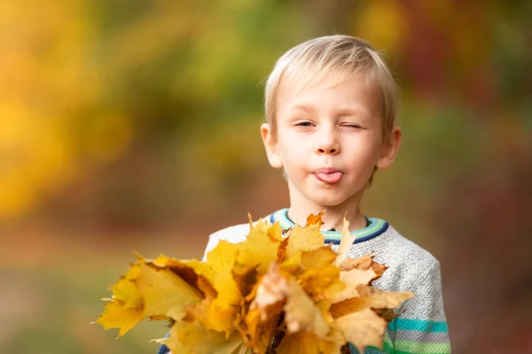 Lycklig liten pojke med höstlöv i parken — Stockfoto