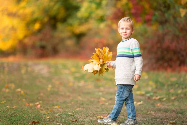 Lycklig liten pojke med höstlöv i parken — Stockfoto