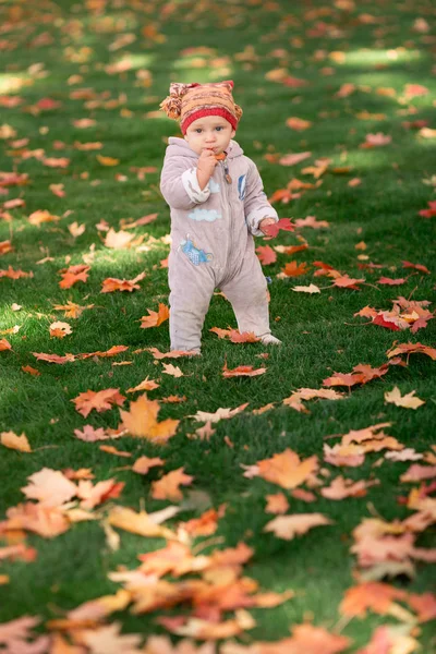 Bebé bonito brincando em folhas de outono — Fotografia de Stock