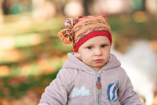 Carino bambino che gioca in foglie autunnali — Foto Stock