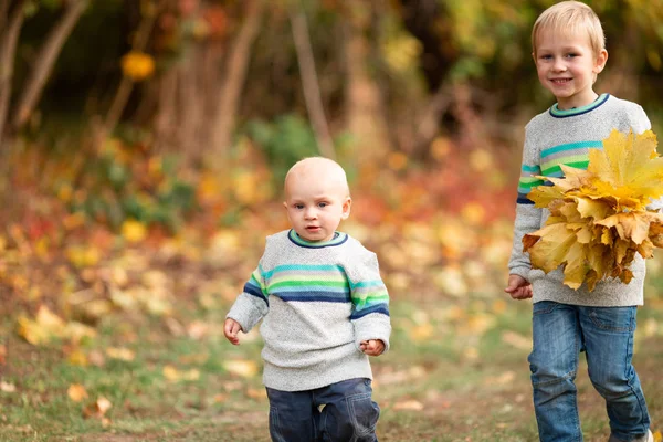 Lyckliga små pojkar med höstlöv i parken — Stockfoto