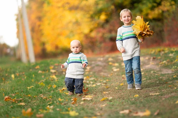 Meninos felizes com folhas de outono no parque — Fotografia de Stock