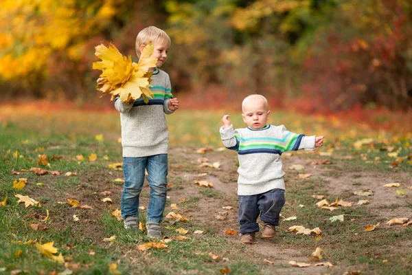 Happy little boys with autumn leaves in the park — Stock Photo, Image