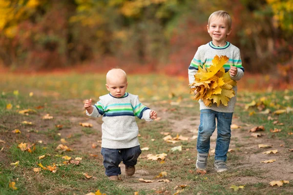 Щасливі хлопчики з осіннім листям у парку — стокове фото