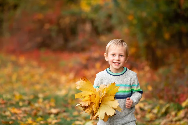 Lykkelig liten gutt med høstløv i parken – stockfoto