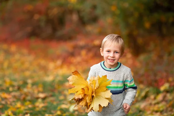Счастливый маленький мальчик с осенними листьями в парке — стоковое фото