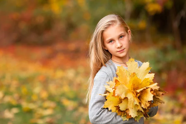 Vacker liten flicka med höstlöv i parken — Stockfoto