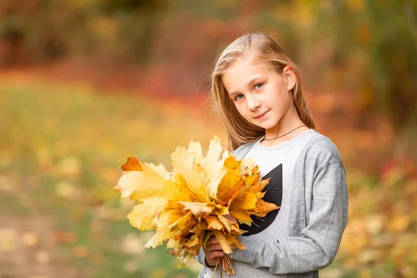 Bella bambina con foglie autunnali nel parco — Foto Stock