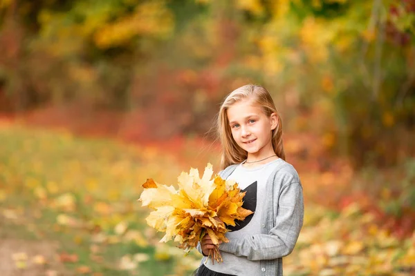 Menina bonita com folhas de outono no parque — Fotografia de Stock