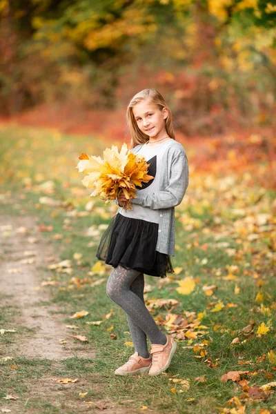 Beautiful little girl with autumn leaves in the park — Stock Photo, Image