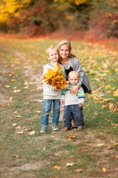 Parkta sonbahar yaprakları ile mutlu küçük çocuklar — Stok fotoğraf