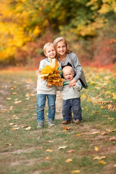 Happy little kids with autumn leaves in the park — Stock Photo, Image