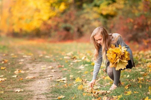 Красивая маленькая девочка с осенними листьями в парке — стоковое фото
