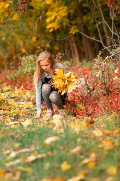 Szép kislány őszi levelek a parkban — Stock Fotó