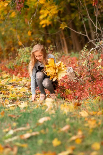 Beautiful little girl with autumn leaves in the park — Stock Photo, Image