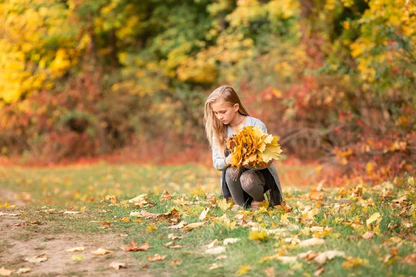 Krásná holčička s podzimním listím v parku — Stock fotografie