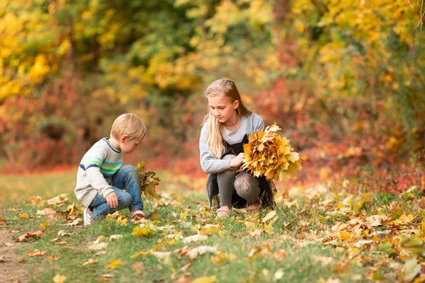 Happy little kids with autumn leaves in the park — Stock Photo, Image