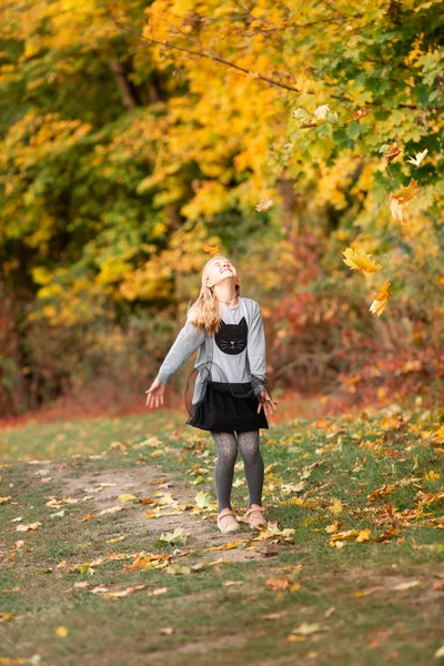 Vacker liten flicka med höstlöv i parken — Stockfoto