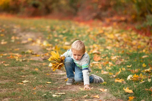 Niño feliz con hojas de otoño en el parque —  Fotos de Stock