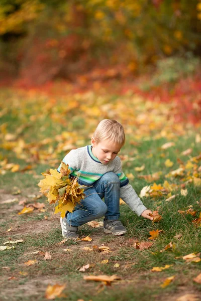 Ragazzino felice con foglie autunnali nel parco — Foto Stock