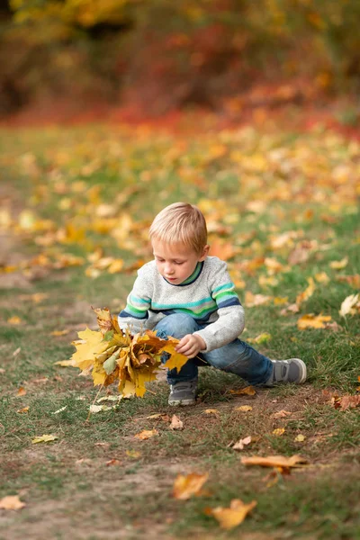 Ragazzino felice con foglie autunnali nel parco — Foto Stock