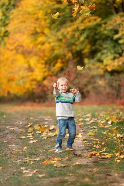 Lycklig liten pojke med höstlöv i parken — Stockfoto