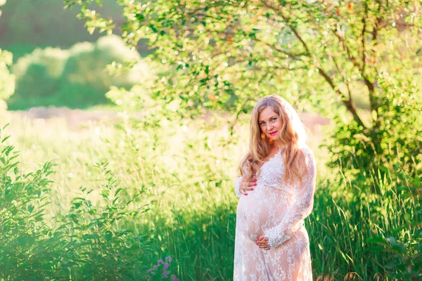 Beautiful Young Pregnant Woman Relaxing Nature Beautiful Sunny Day Field — Stock Photo, Image