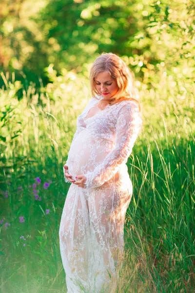 Frumos Tânără Gravidă Femeie Relaxare Natură Frumoasă Însorită Câmp Fundal — Fotografie, imagine de stoc