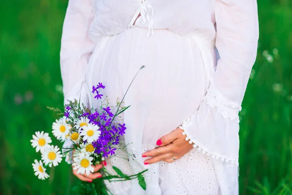 Hermosa Joven Embarazada Que Relaja Naturaleza Hermoso Día Soleado Primer — Foto de Stock