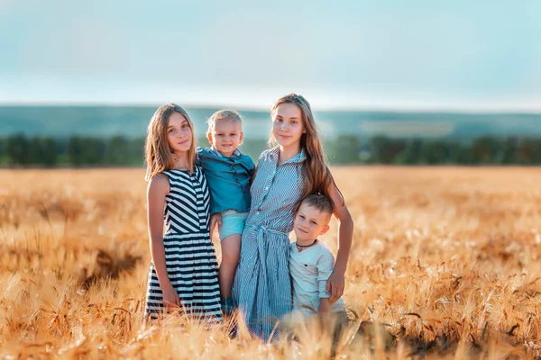 Gelukkige Kinderen Hebben Plezier Gouden Tarweveld Bij Zonsondergang — Stockfoto