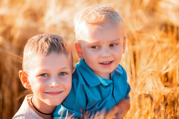 Cute Little Kids Zabawy Złotym Polu Pszenicy Zachodzie Słońca — Zdjęcie stockowe