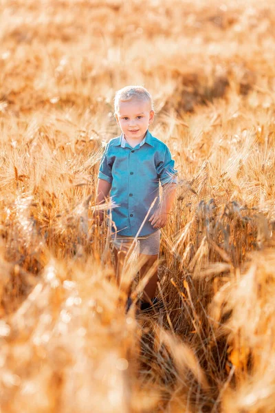 Roztomilý Chlapeček Běží Zlatém Pšeničném Poli Při Západu Slunce — Stock fotografie