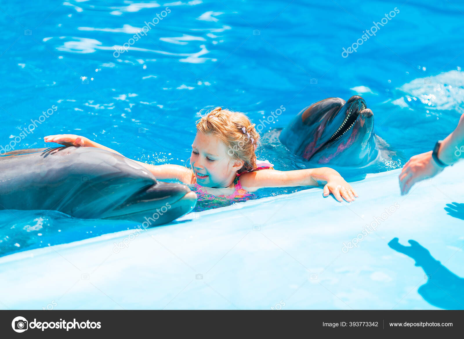 Happy Little Girl Swimming Dolphins Dolphinarium Swimming Bathing