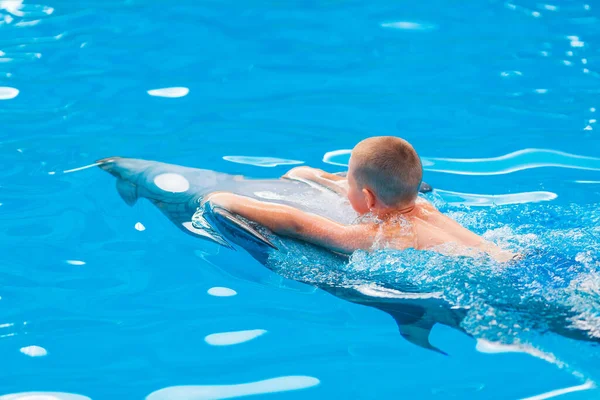 Feliz Niño Nadando Con Delfines Delfinario Natación Baño Comunicación Con — Foto de Stock