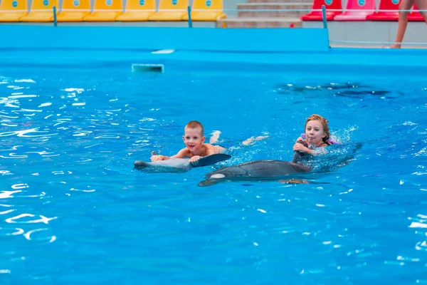 Niños Felices Nadando Con Delfines Delfinario Natación Baño Comunicación Con — Foto de Stock