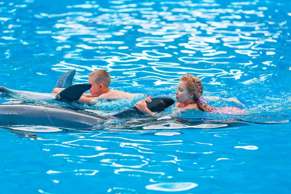 Gelukkige Kleine Kinderen Zwemmen Met Dolfijnen Dolfinarium Zwemmen Zwemmen Communiceren — Stockfoto