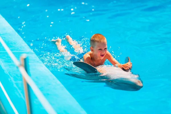 Feliz Niño Nadando Con Delfines Delfinario Natación Baño Comunicación Con — Foto de Stock