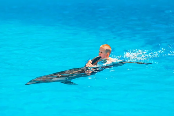 Счастливый Маленький Мальчик Плавает Дельфинами Дельфинарии Плавание Купание Общение Дельфинами — стоковое фото