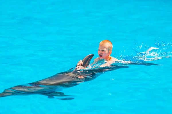 Feliz Niño Nadando Con Delfines Delfinario Natación Baño Comunicación Con — Foto de Stock