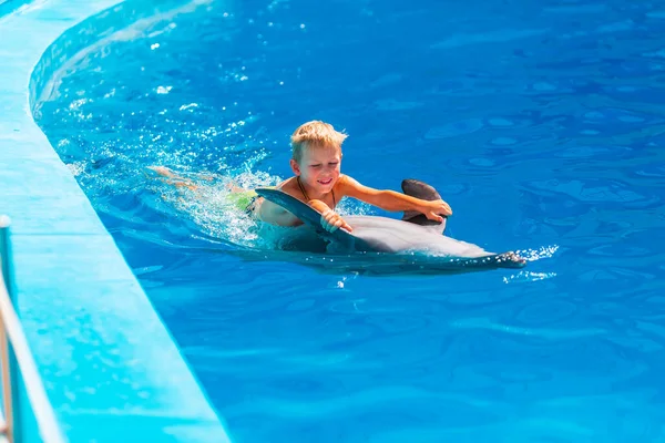 Feliz Niño Nadando Con Delfines Delfinario Natación Baño Comunicación Con —  Fotos de Stock