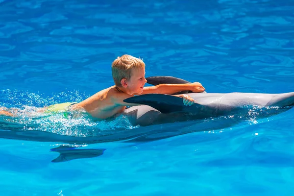 Yunuslarla Yunuslar 'da yüzen küçük mutlu çocuk. Yunuslarla yüzme, banyo ve iletişim.