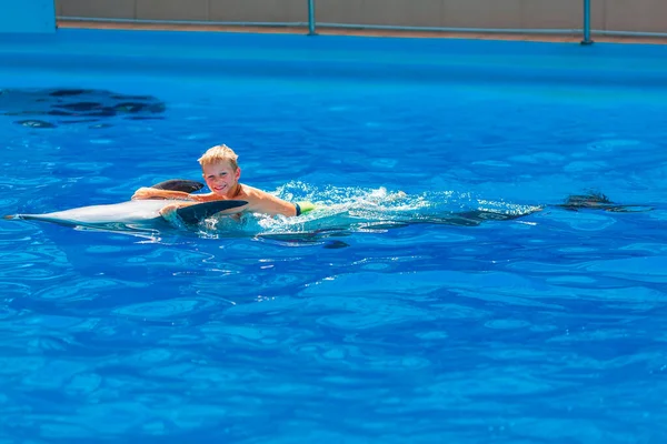 Gelukkige Kleine Jongen Zwemmen Met Dolfijnen Dolfinarium Zwemmen Zwemmen Communiceren — Stockfoto