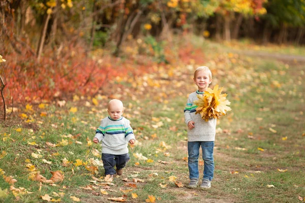 Meninos Felizes Reunindo Folhas Outono Parque Outono — Fotografia de Stock