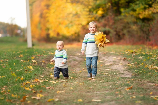 Meninos Felizes Reunindo Folhas Outono Parque Outono — Fotografia de Stock