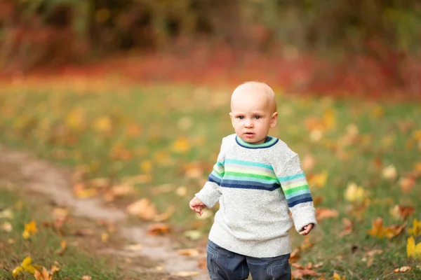 Bébé Garçon Heureux Ramassant Des Feuilles Automne Dans Parc Automne — Photo