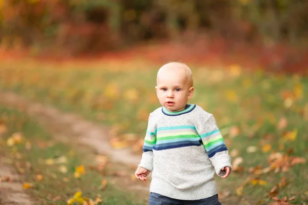 Niño Feliz Recogiendo Hojas Otoño Parque Otoño — Foto de Stock