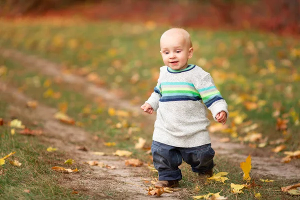 Niño Feliz Recogiendo Hojas Otoño Parque Otoño — Foto de Stock